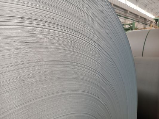 Fabbrica Fornitura diretta DIP caldo Preverniciato SPCC Spangle AZ100 Galvalume Steel Coil GL Sheet Materiale da costruzione